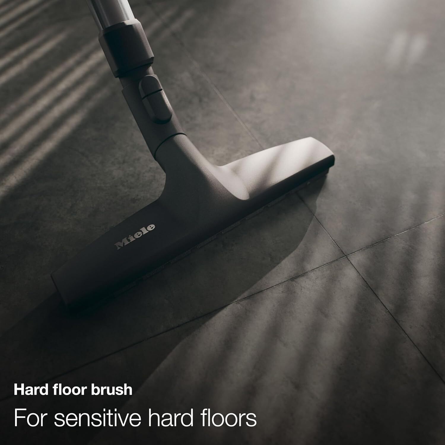 Miele / Renewed / C1 Classic / Cat & Dog Arbor Vacuum