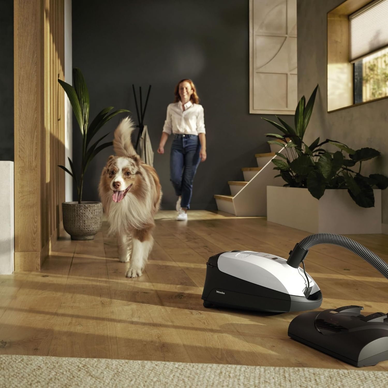 Miele / Renewed / C1 Classic / Cat & Dog Arbor Vacuum